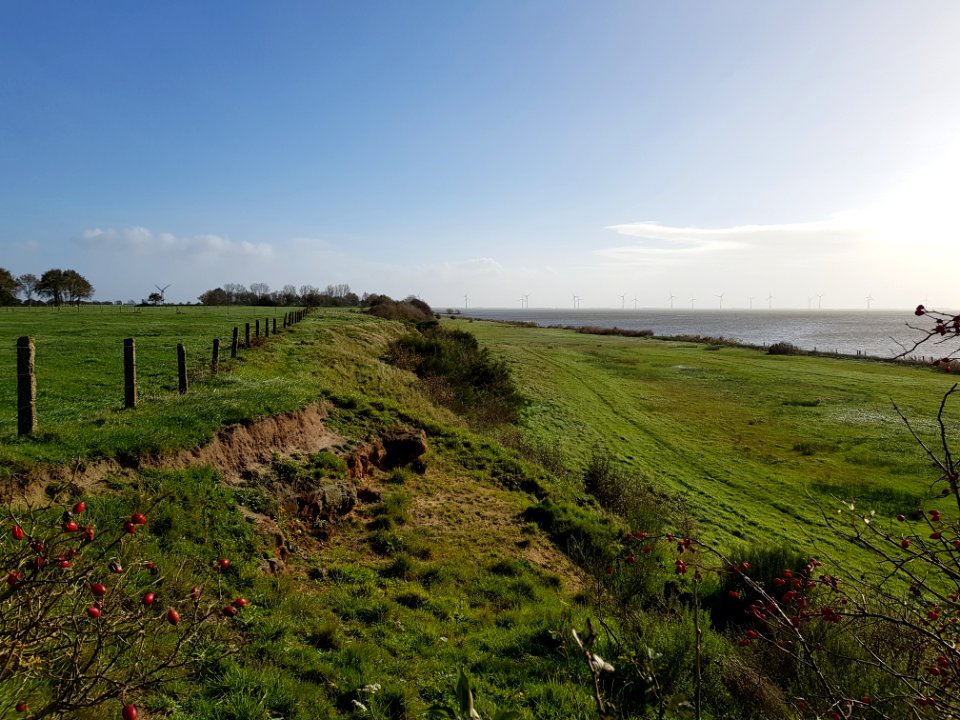 Oudemirdum-Oudemirdumer Klif (10)
