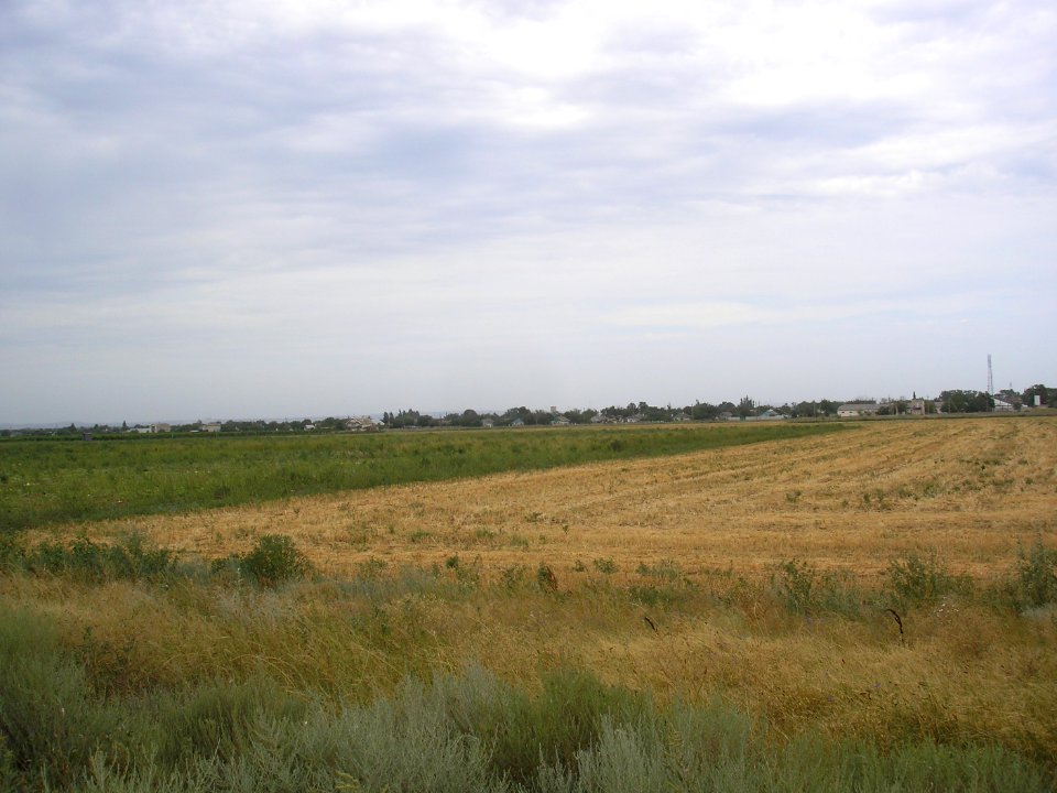 OstaninoCr 18