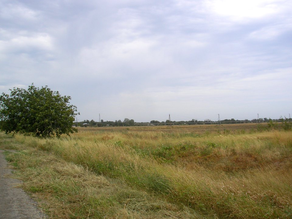 OstaninoCr 2