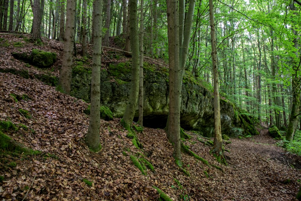 Osterloch bei Brünnthal (E 23) 03