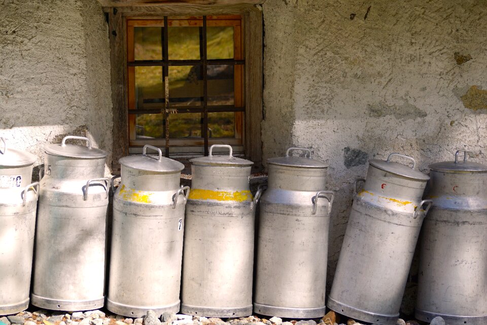 Milk production agriculture nature
