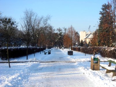 Os Leśne Bydg 11 Listopada h 01-2013