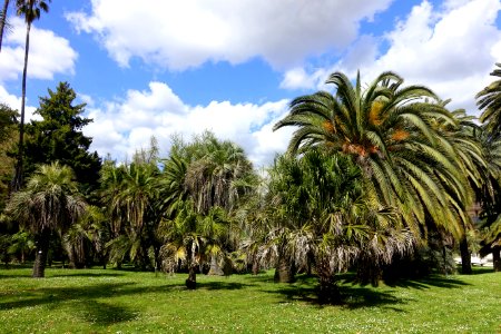Orto botanico - Rome, Italy - DSC00294