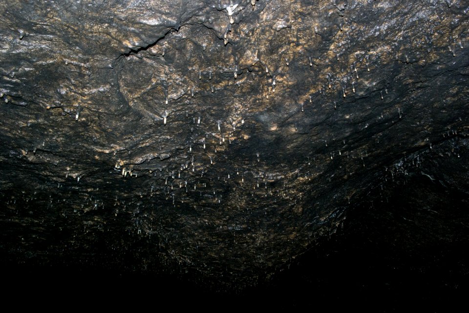 Osterloch bei Brünnthal (E 23) 40