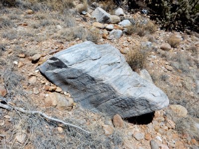 Ortega Formation boulder photo