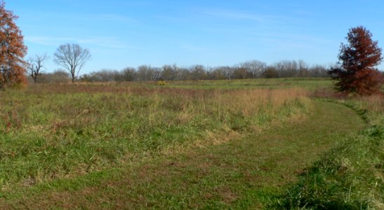 Osage Village SHS, hilltop 2