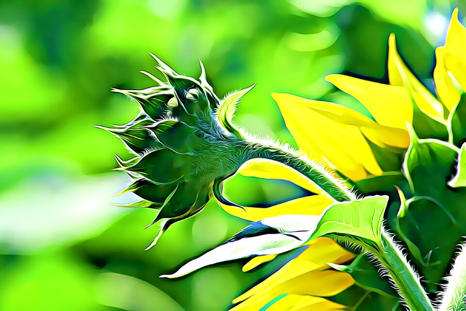 Summer plant green