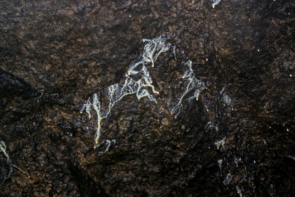 Osterloch bei Brünnthal (E 23) 30