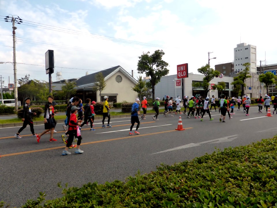 Osaka Marathon 2013 (62)