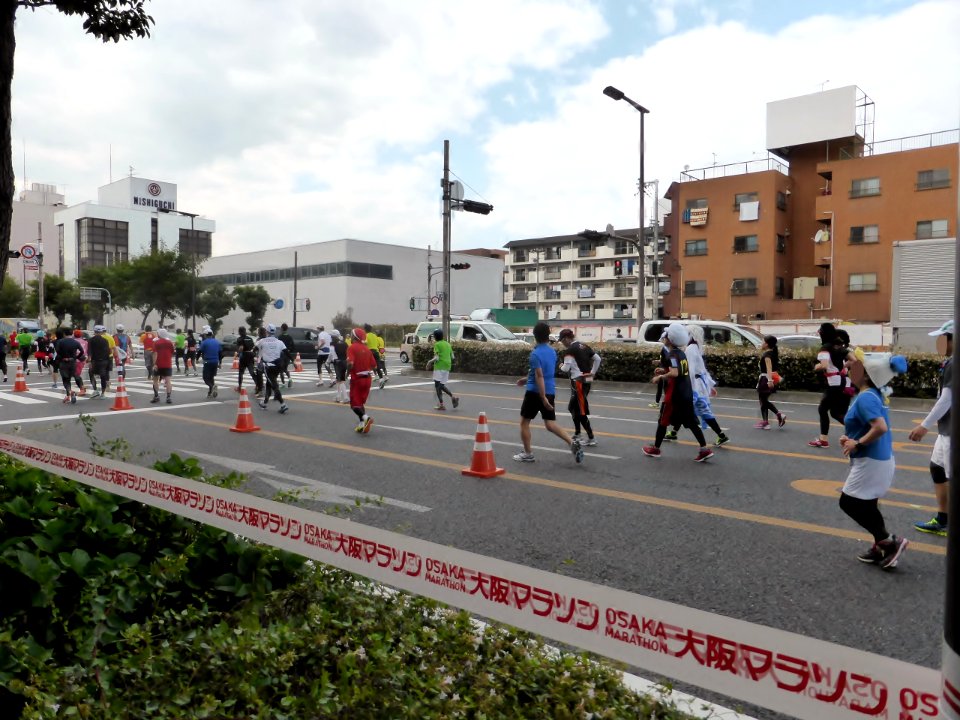 Osaka Marathon 2013 (55)