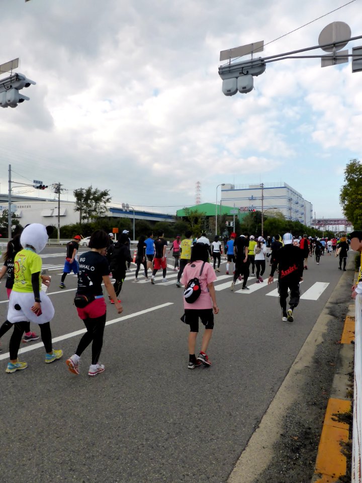 Osaka Marathon 2013 (96)