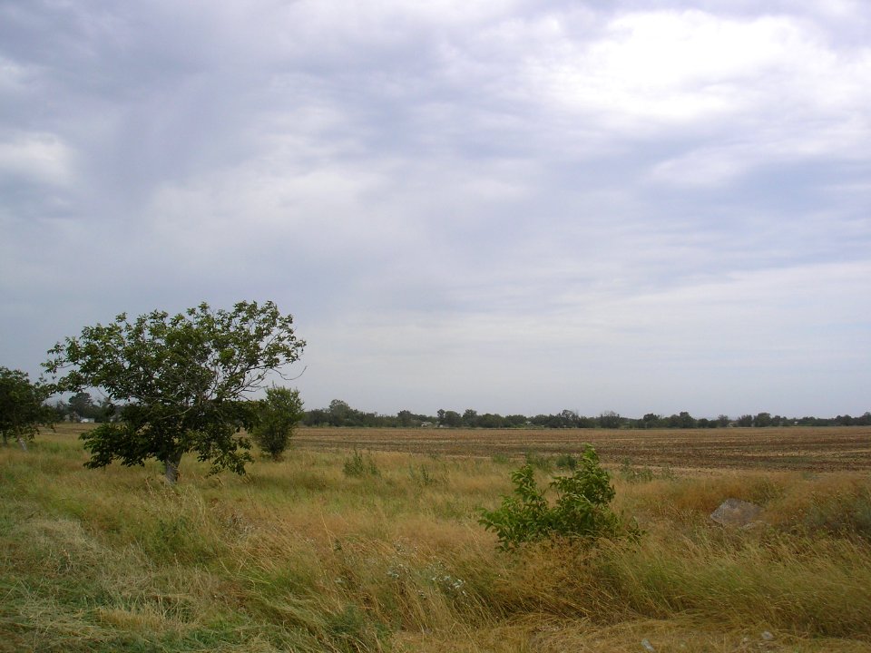 OstaninoCr 4