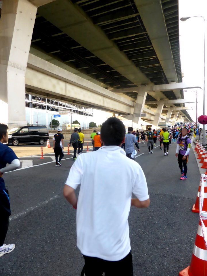 Osaka Marathon 2013 (85)