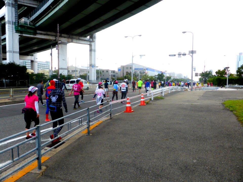 Osaka Marathon 2013 (100)