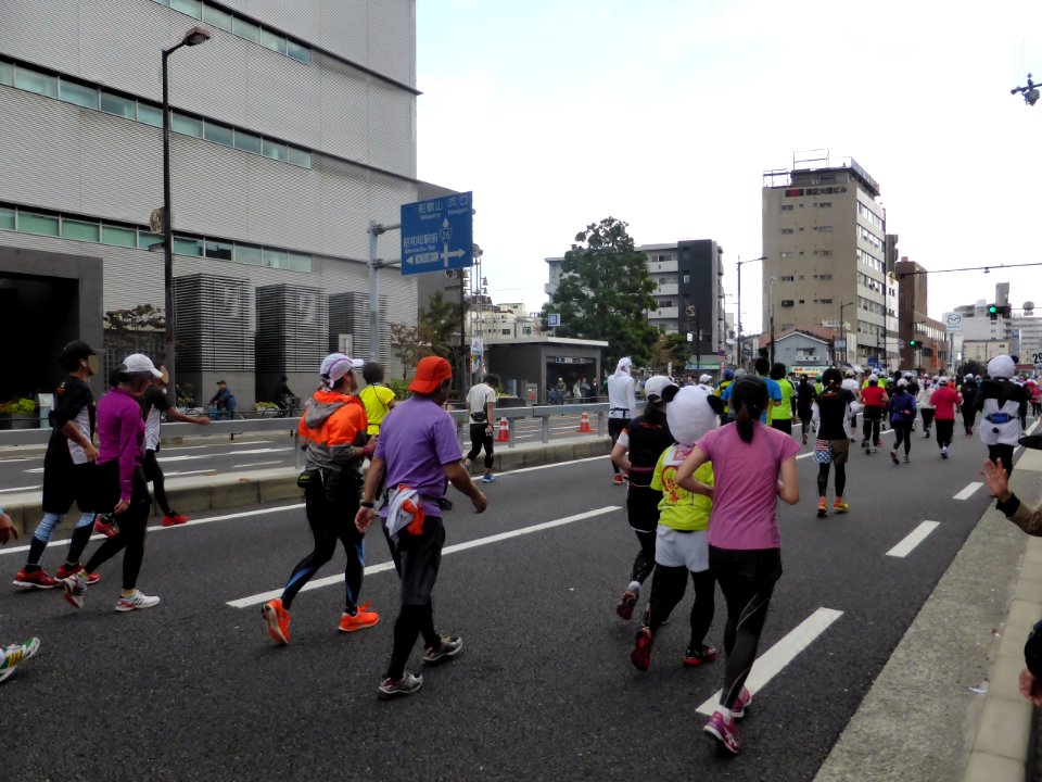 Osaka Marathon 2013 (48)