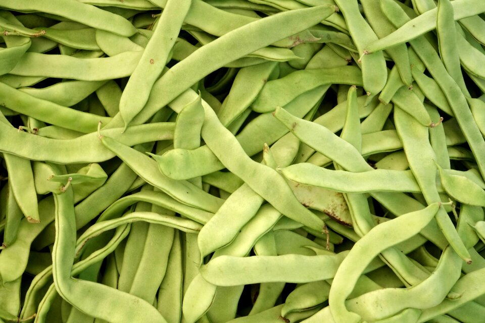 Market food harvest