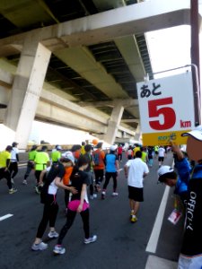 Osaka Marathon 2013 (86)