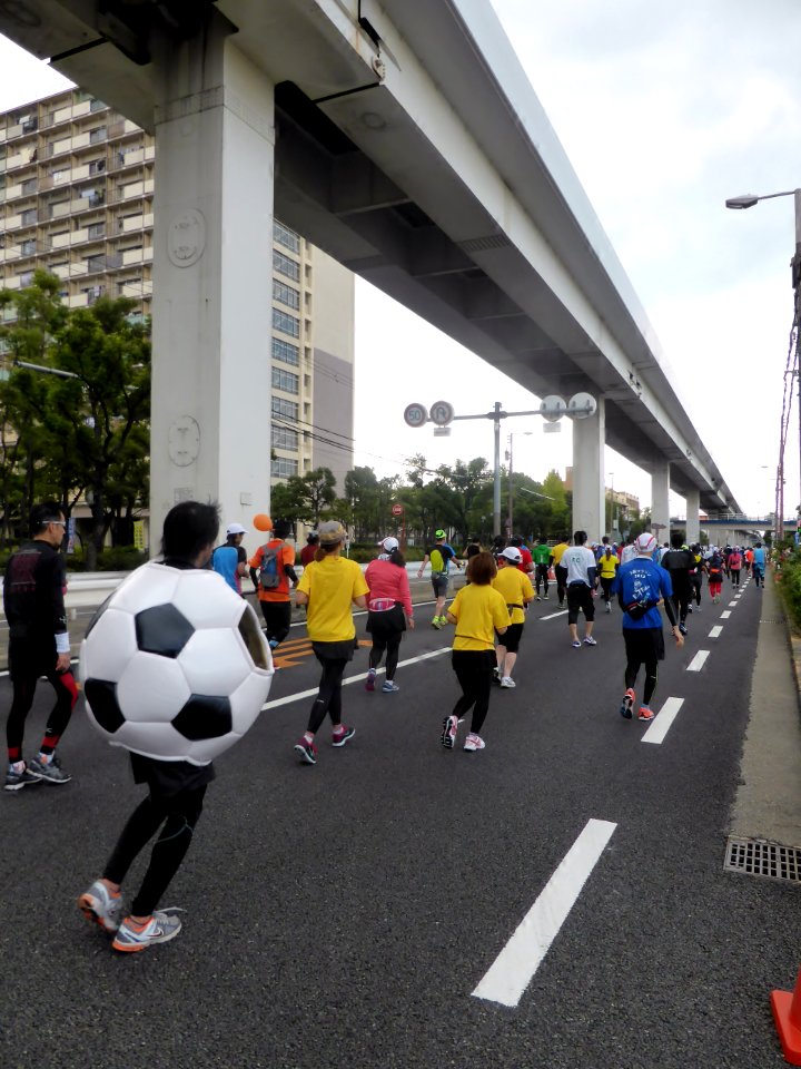 Osaka Marathon 2013 (78)