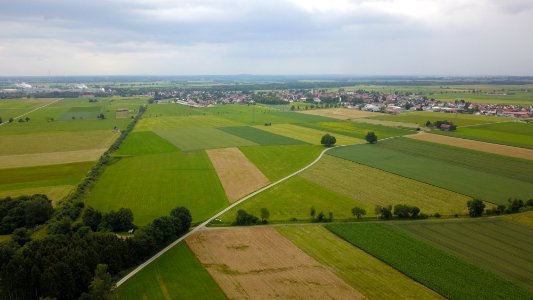 Ostettrinen mit UPM (02)
