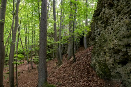 Osterloch bei Wurmrausch (E 13) 01