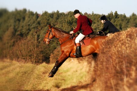 Gallop fence hunt photo