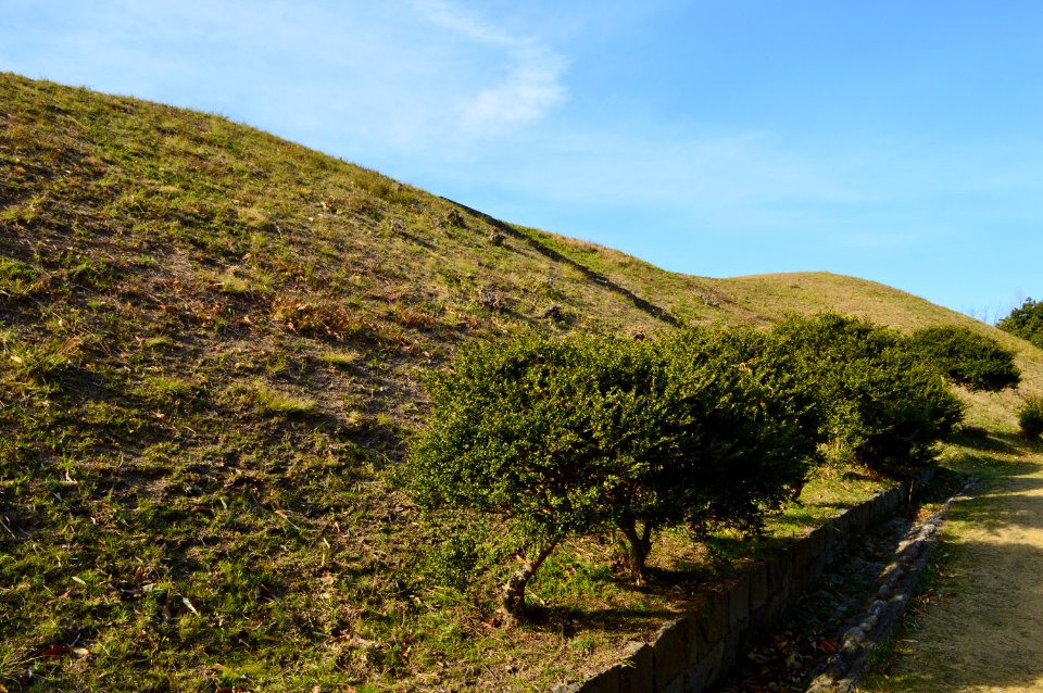 Otani Kofun, funkyu
