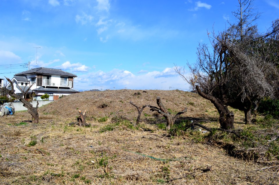 Ota-tenjinnyama-kofun baichou-A