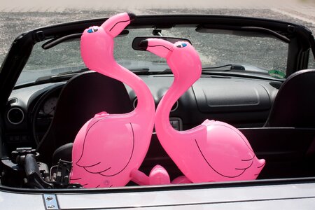 Romantic lovers auto