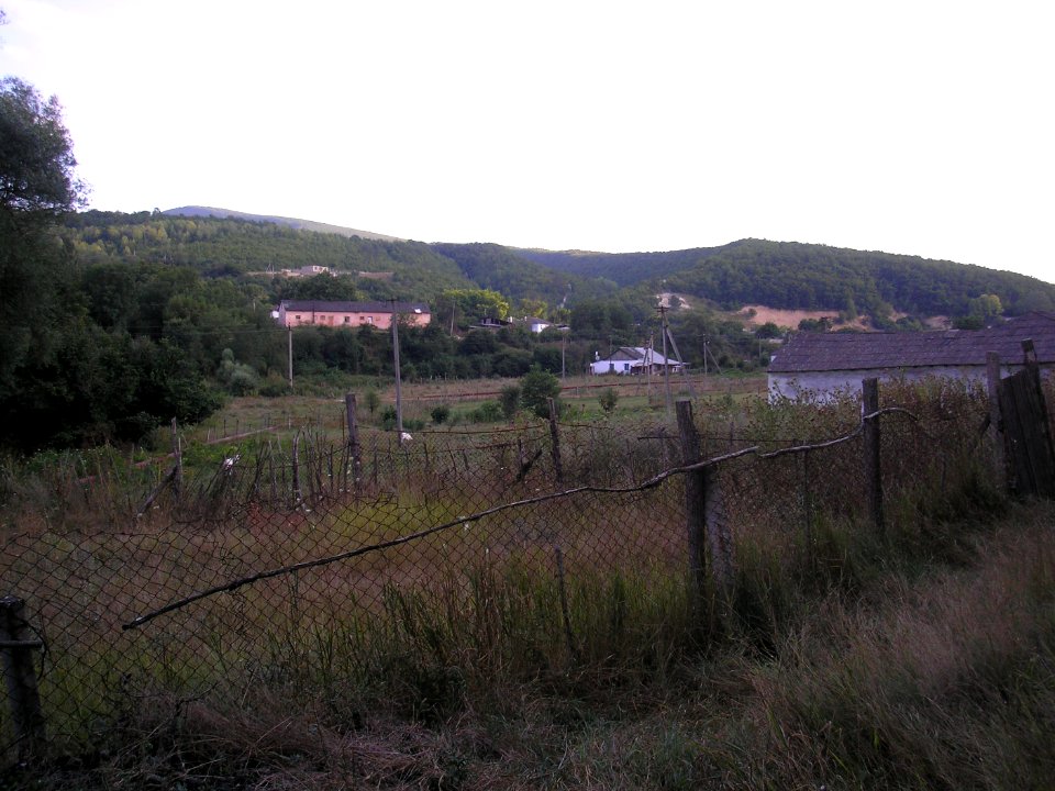 Otarchik 3