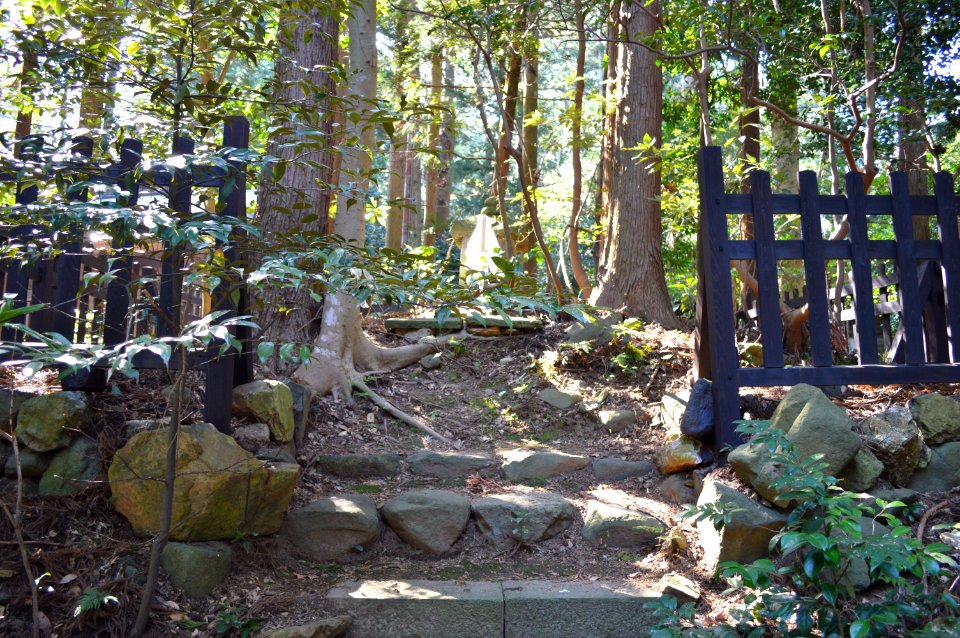 Otogo-shinbyo (Iyahiko-jinja)