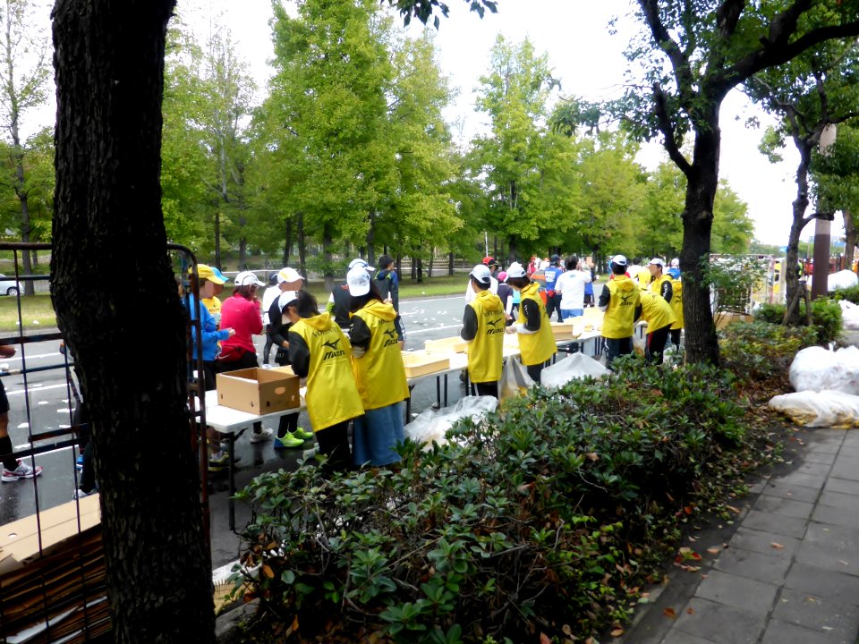 Osaka Marathon 2013 (92)