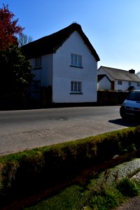 Otterton (2021-04-25) 17