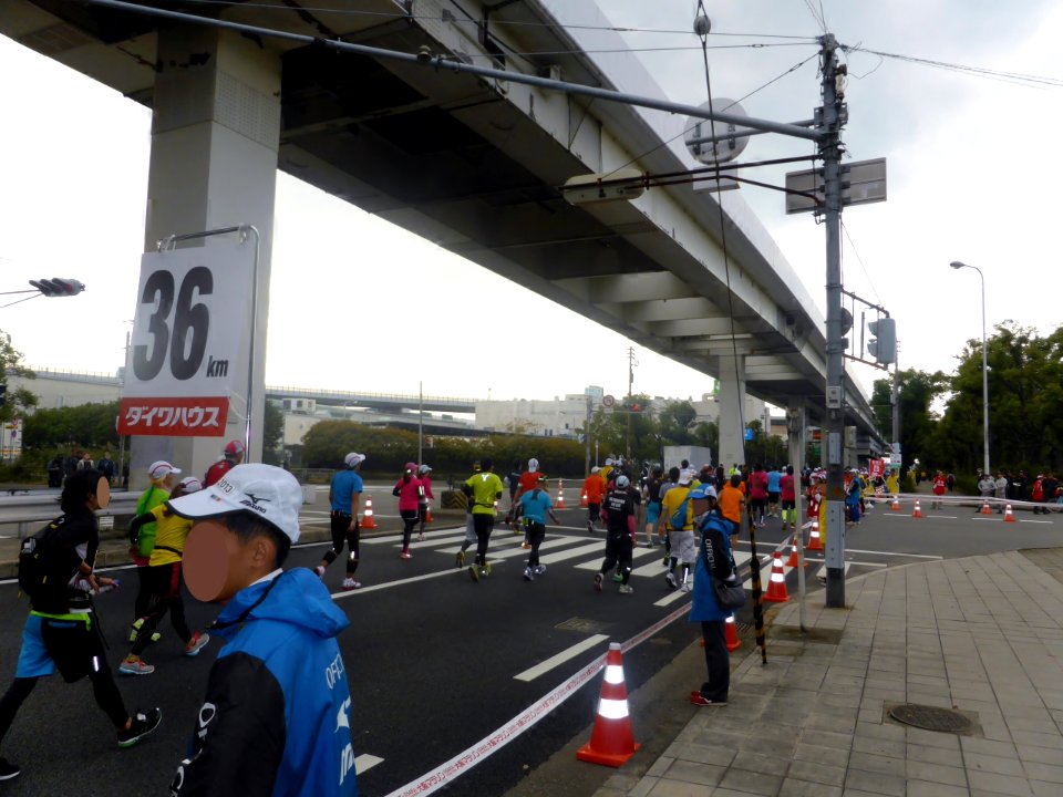 Osaka Marathon 2013 (80)