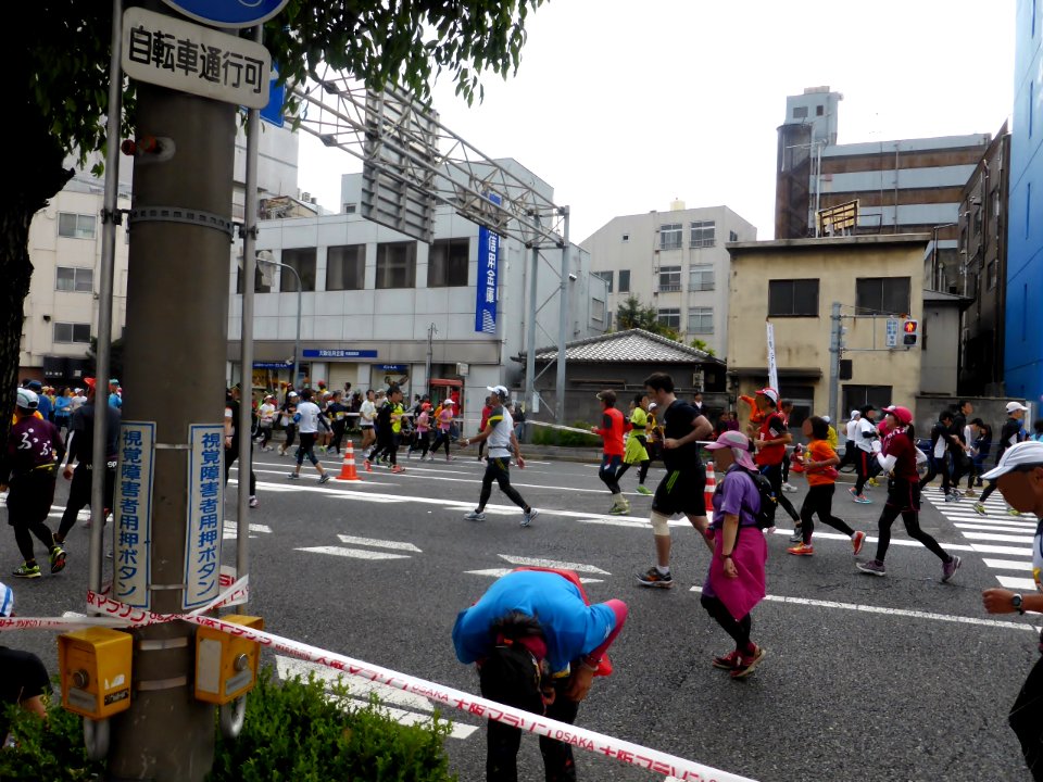 Osaka Marathon 2013 (19)
