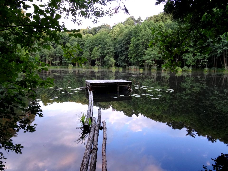 OtorowskaStruga staw1 13 7-2015