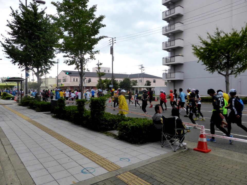 Osaka Marathon 2013 (34)