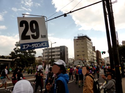 Osaka Marathon 2013 (49)