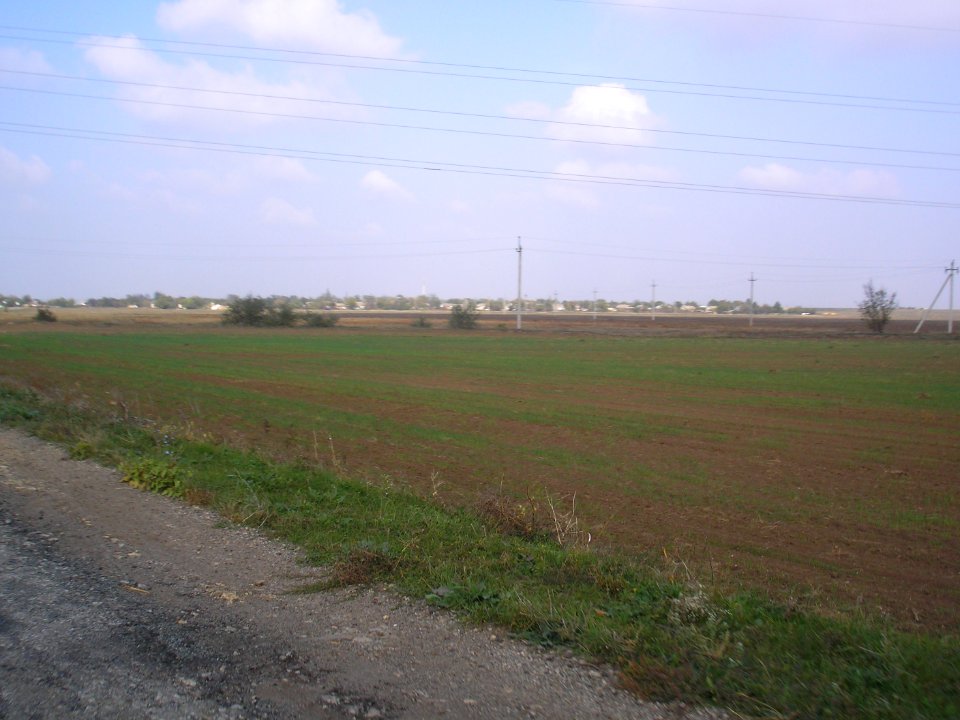 OstrovskoePer 5