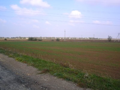 OstrovskoePer 5