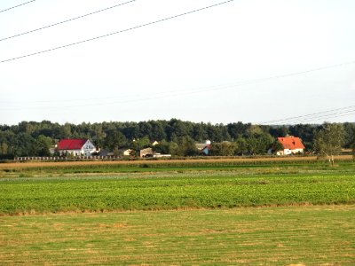 Otorowo 5 08-2014