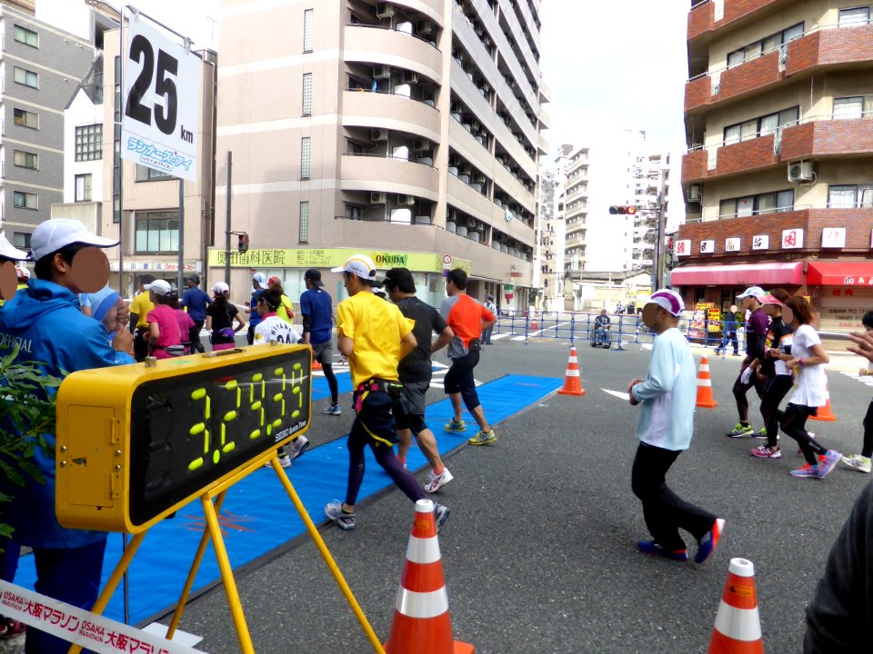 Osaka Marathon 2013 (27)