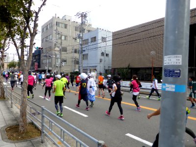Osaka Marathon 2013 (39)