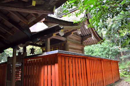 Ota-jinja (Kyoto) honden photo