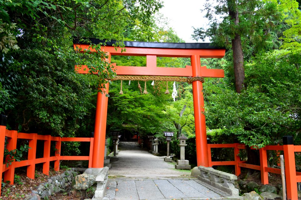 Ota-jinja (Kyoto) torii