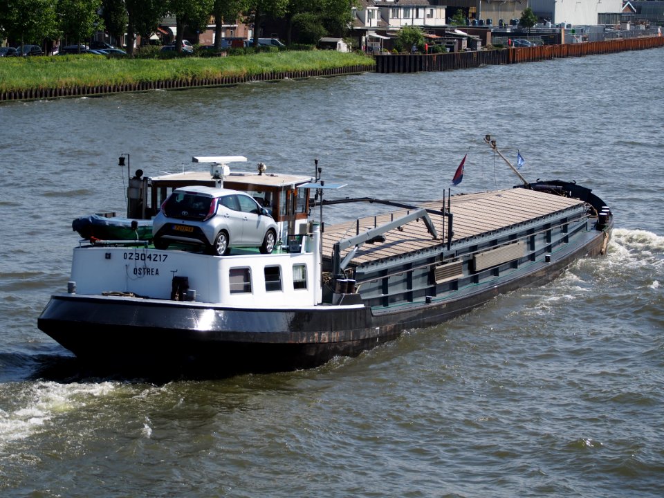 Ostrea - ENI 02304217, Amsterdam-Rijnkanaal pic4