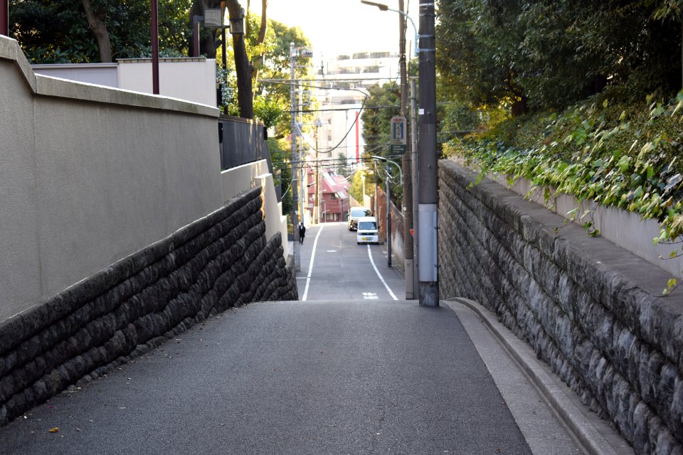 Otafukuzaka, Roppongi 5 chome