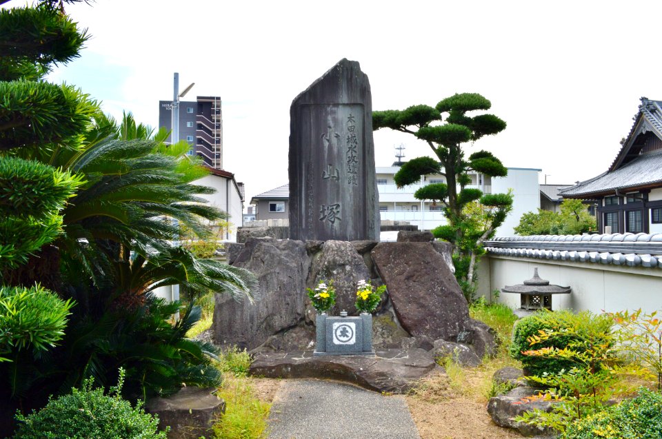 Ota Castle (Kii), Koyamazuka