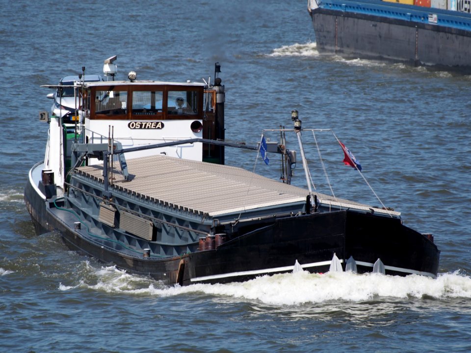 Ostrea - ENI 02304217, Amsterdam-Rijnkanaal pic1