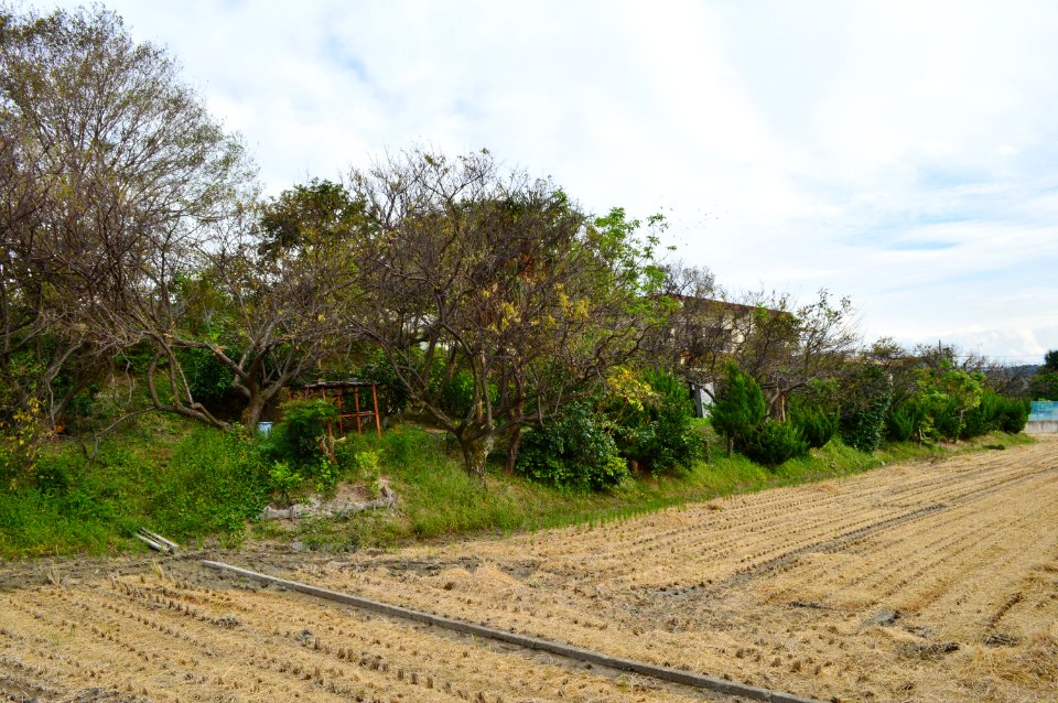Ota Castle (Kii), teibou