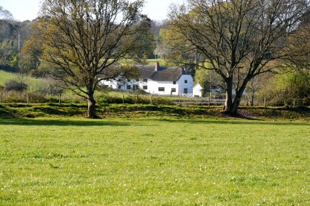Otterton (2021-04-25) 88